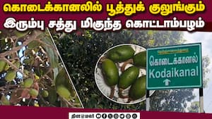 அழிவின் விளிம்பில் உள்ள மரங்களை பாதுகாக்கக் கோரிக்கை  