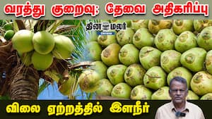 வரத்து குறைவு;தேவை அதிகரிப்பு | விலை ஏற்றத்தில் இளநீர்