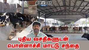 புதிய வசதிகளுடன் பொள்ளாச்சி மாட்டு சந்தை புதிய வசதிகளுடன் பொள்ளாச்சி மாட்டு சந்தை