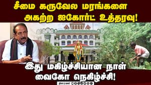 சீமை கருவேல மரங்களை அகற்றுவது தொடர்பாக 39 உத்தரவு பிறப்பித்த நீதிபதிகள்! Vaiko | Prosopis juliflora