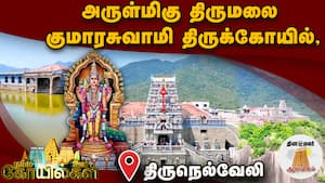 வேண்டியதையெல்லாம் தரும் அருட்கடவுள்! | நம்ம ஊரு கோயில்கள்