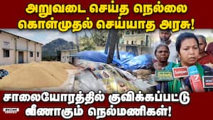 நெல் கொள்முதலுக்கு கட்டுப்பாடுகள் விதிப்பதால் விவசாயிகள் வேதனை! Paddy Cultivation  