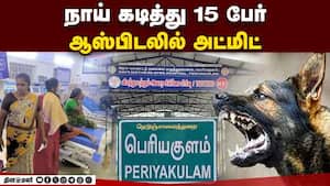 மாவட்ட செய்திகள் 4PM  