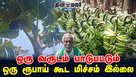 ஒரு வருடம் பாடுபட்டும் ஒரு ரூபாய் கூட மிச்சம் இல்லை...