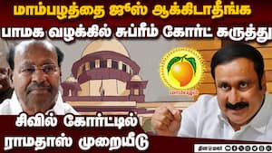 மாம்பழம் சின்னம் யாருக்கு? 3 நாளில் முடிவு தெரியும்  