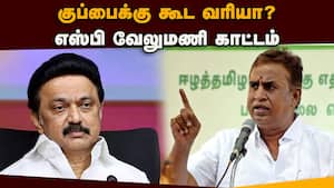 அதிமுக கூட்டணி கட்சிகளிடையே அதிருப்தி இல்லை: எஸ்பி.வேலுமணி  