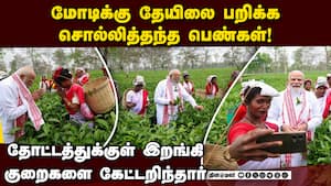 பழங்குடியினரின் அர்ப்பணிப்பு  அசாமை உயர்த்தியது: மோடி பெருமிதம் PM Modi visits tea garden in Assam | 