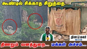 கூண்டில் சிக்காத சிறுத்தை... திணறும் வனத்துறை... மக்கள் அச்சம்.....