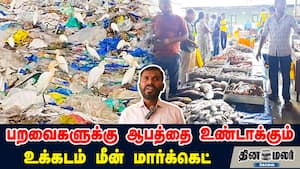 இது ஒரு சாதனை மட்டும் அல்ல… ஒரு தூண்டல்! வயலின் வாசிக்கும் விரல்கள்...