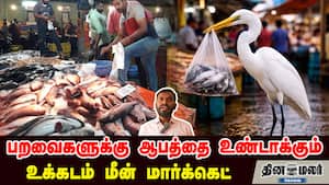 பறவைகளுக்கு ஆபத்தை உண்டாக்கும் உக்கடம் மீன் மார்க்கெட்