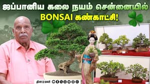 ஜப்பானிய கலை நயம் சென்னையில்  