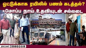 மாவட்ட செய்திகள்  