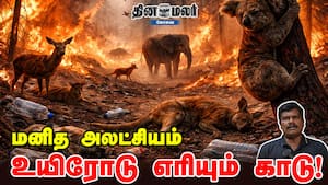 மனித அலட்சியம்… உயிரோடு எரியும் காடு! Forest Fire