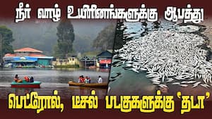 நீலகிரியில் ஓரம் கட்டப்பட்ட பெட்ரோல், டீசல் படகுகள்  