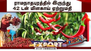 சவால்களை தாண்டிய வழி அமைக்கும் மத்திய அரசு Chilli Export  