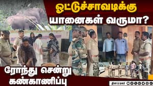 வனப்பகுதியில் ஓட்டுச்சாவடிகள் பாதுகாப்பு பணியில் வனத்துறை | Elephants Movement