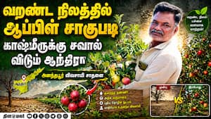 ஆந்திராவில் களை கட்டும் ஆப்பிள் சாகுபடி: ராயலசீமா விவசாயிகள் ஆர்வம்  