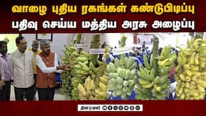 மாவட்ட செய்திகள்  