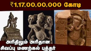 இந்தியா திரும்புகிறது பழம்பொருள் பொக்கிஷங்கள்  