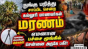 நுங்கு பறித்து சாப்பிட சென்ற கல்லூரி மாணவர்களுக்கு சோகம்  