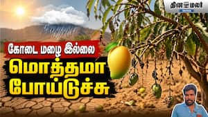 கோடை மழை இல்லை | மொத்தமா போய்டுச்சு