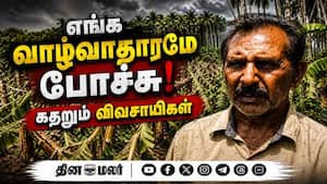மாவட்ட செய்திகள்  