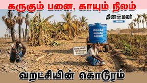 கருகும் பனை, காயும் நிலம்  வறட்சியின் கொடூரம்