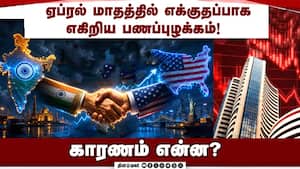அமெரிக்காவில் அதிகரிக்கும் இந்திய முதலீடு! Liquidity  