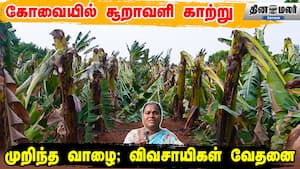 கோவையில் சூறாவளி காற்று  