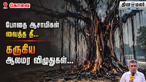 போதை ஆசாமிகள் வைத்த தீ... கருகிய ஆலமர விழுதுகள்...