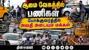 மாவட்ட செய்திகள்  