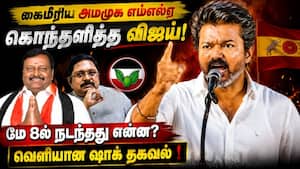 விஸ்வரூபம் எடுத்த அமமுக எம்எல்ஏ விவகாரம்; தவெகவினரை திட்டித்தீர்த்த விஜய்  