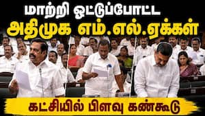அதிமுகவில் மீண்டும் இரு அணிகள்: பழனிசாமி எதிர்ப்பு காேஷ்டி தவெகவுக்கு ஆதரவு