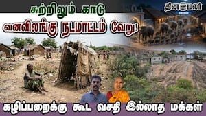 சுற்றிலும் காடு... வனவிலங்கு நடமாட்டம் வேறு! கழிப்பறைக்கு கூட வசதி இல்லாத மக்கள் சுற்றிலும் காடு... வனவிலங்கு நடமாட்டம் வேறு! கழிப்பறைக்கு கூட வசதி இல்லாத மக்கள்