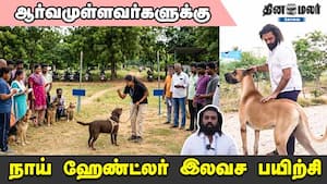 ஆர்வமுள்ளவர்களுக்கு நாய் ஹேண்ட்லர் இலவச பயிற்சி