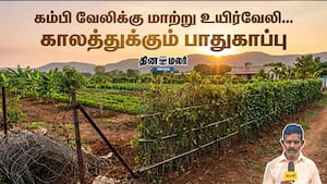 கம்பி வேலிக்கு மாற்று உயிர்வேலி... காலத்துக்கும் பாதுகாப்பு