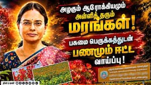 அழகூட்டும் மரம் வளர்ப்பின் நன்மையும், பணப் பலனும்: கோவை வேளாண் பல்கலை விஞ்ஞானி விளக்கம்