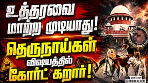 மாநிலங்களின் அலட்சியமே இத்தனை ஆபத்துக்கு காரணம்   Stray dogs 