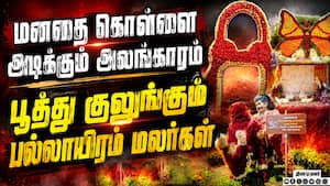 கொடைக்கானலில் கோலாகலமாக துவங்கிய மலர் கண்காட்சி   Kodaikanal Flower Show 2026  