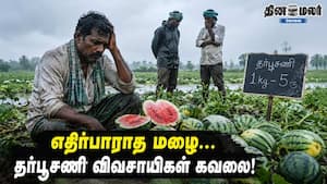 எதிர்பாராத மழை... தர்பூசணி விவசாயிகள் கவலை!