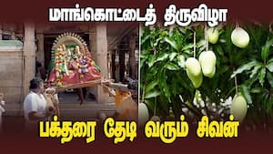 மதுரை மேலுாரில் மாங்கொட்டை திருவிழா கோலாகலம் | Thiruvathavur