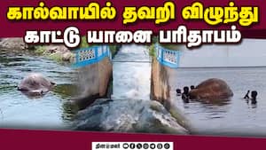 திருமூர்த்தி மலை அணையில் உடல் கண்டெடுப்பு  