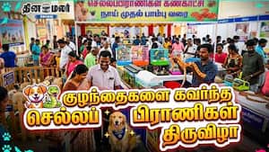 குழந்தைகளை கவர்ந்த செல்லப்பிராணிகள் திருவிழா குழந்தைகளை கவர்ந்த செல்லப்பிராணிகள் திருவிழா