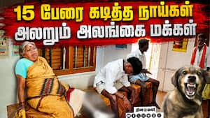 மாவட்ட செய்திகள் மாலை 4 மணி   