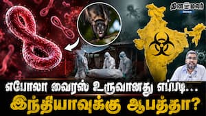எபோலா வைரஸ் உருவானது எப்படி... இந்தியாவுக்கு ஆபத்தா?