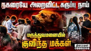 நடுங்கவிட்ட நாயை தட்டி தூக்கியதால் நிம்மதி Stray dog bite Madhyapradesh Shivpuri Dogattack Rabies