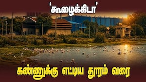 சாத்தாங்காடு ஏரியில் குவியும் பறவை இனங்கள்  