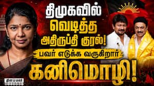 டெல்லி டு தமிழக அரசியல்: கனிமொழி கையில் கட்சி  