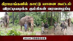 காட்டு யானைகள் தாக்கி உயிரிழக்கும் கிராம மக்கள் | Wild Elephants Entered the Village