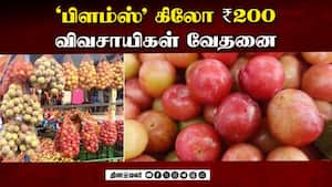 மாவட்ட செய்திகள் | 06-06-2026 மாவட்ட செய்திகள் | 06-06-2026